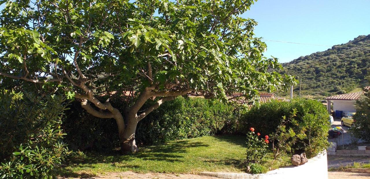 Casa orvile San Lorenzo (Sardinia) Exterior foto